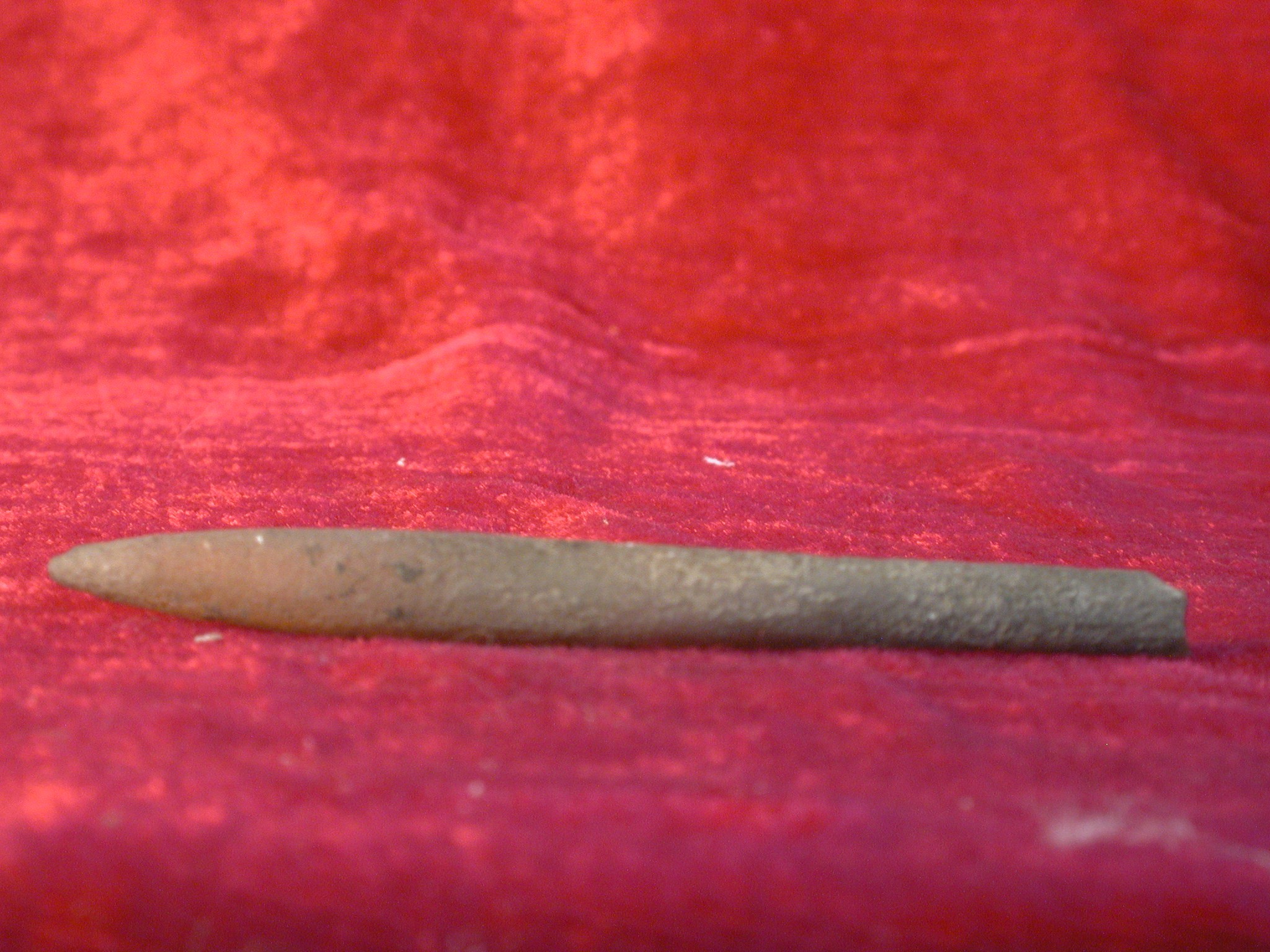 尖箭石未定种